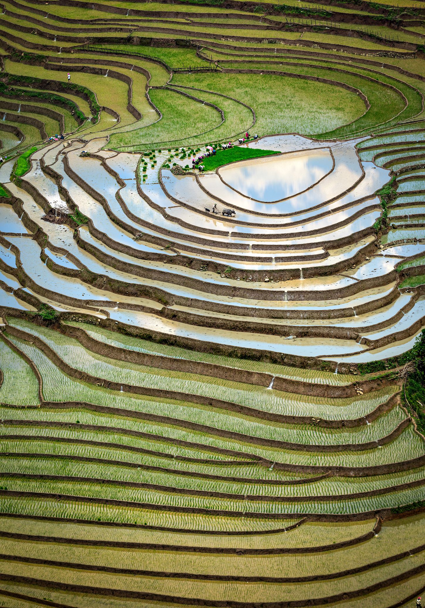 114- Trái tim Mường Hum – Lê Việt Khánh