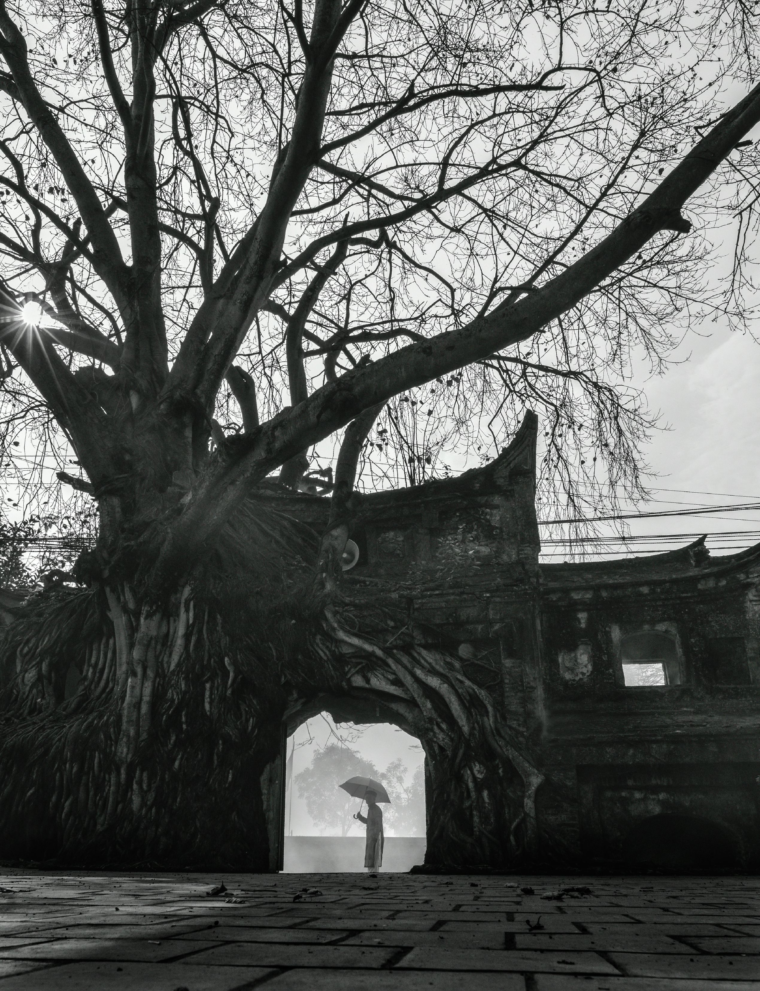 163- Cổng đền Phú Hậu – Nguyễn Xuân Chính