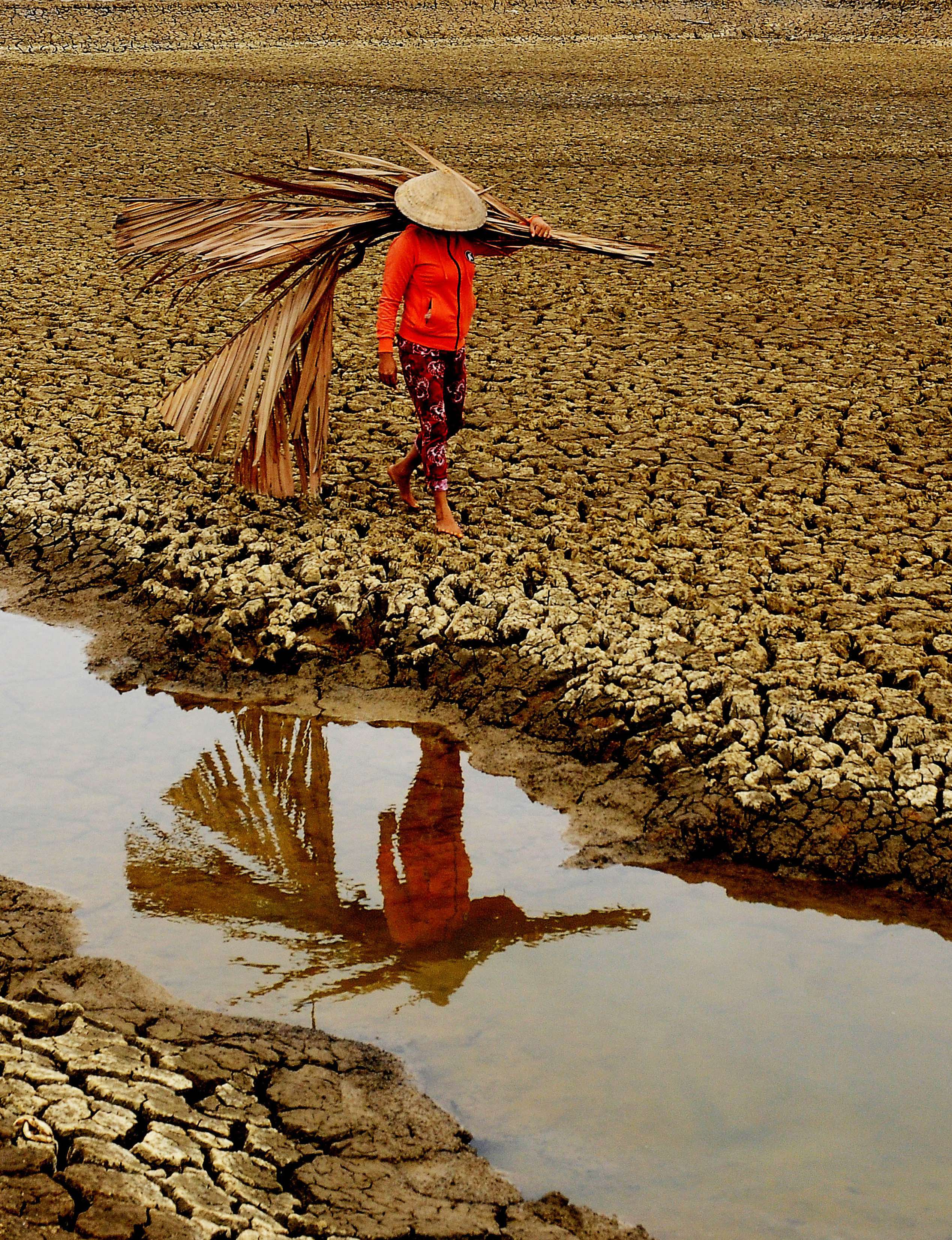 174- Đồng khô – Nguyễn Ngọc Hải