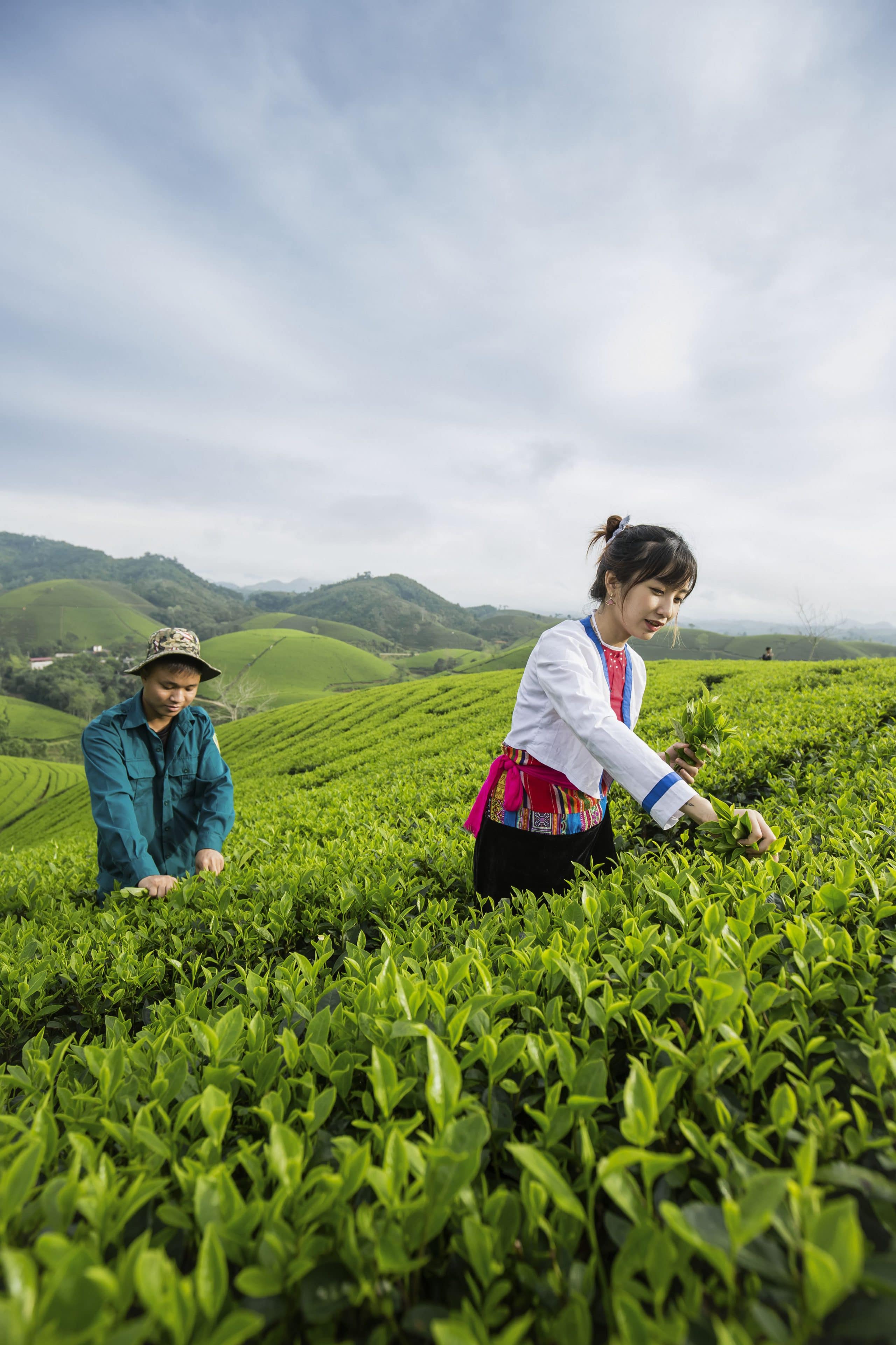 193- Long Cốc trải nghiệm du lịch xanh – Cao Văn Tùng