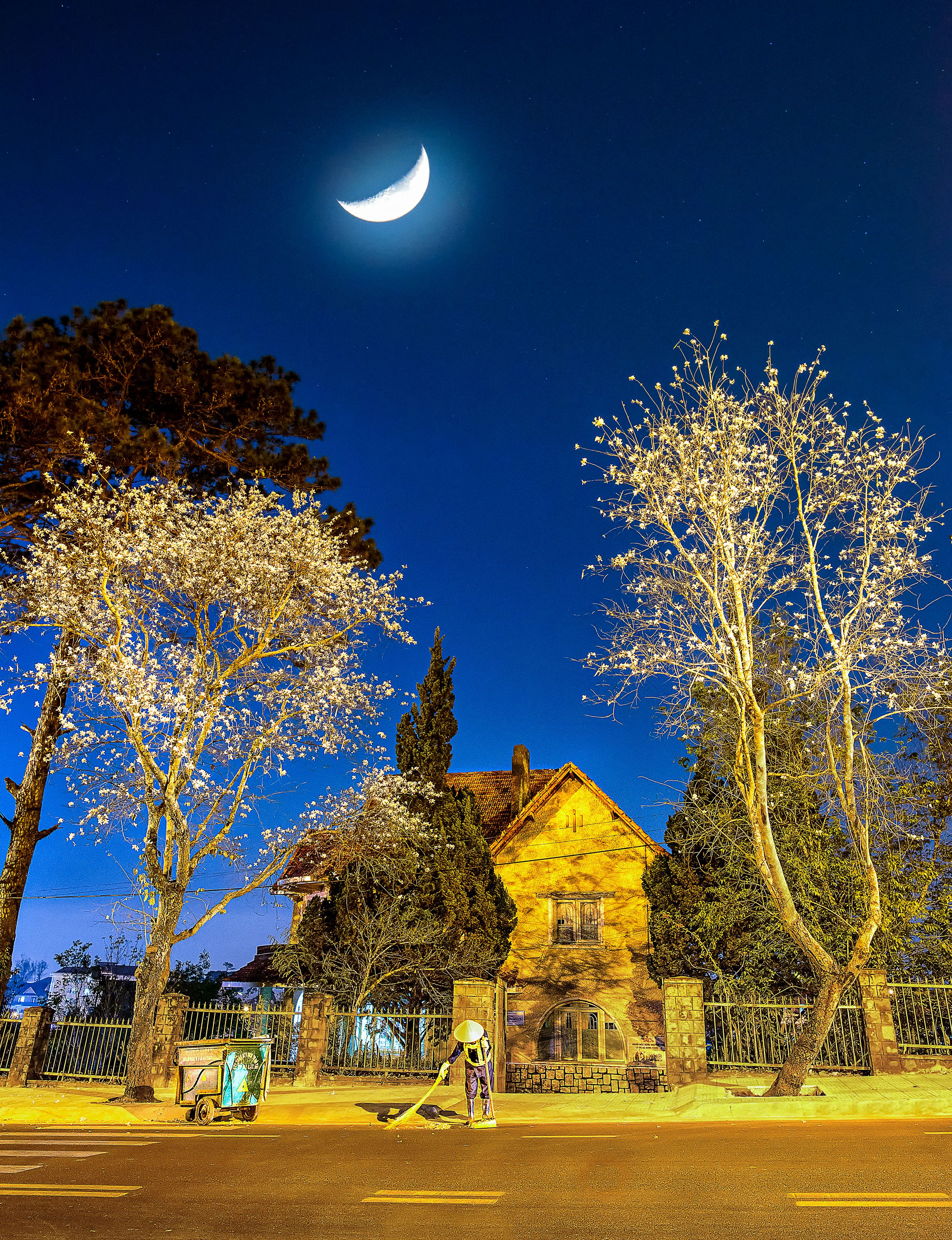 218- Ánh trăng trên hè phố – Nguyễn Ngọc Luân