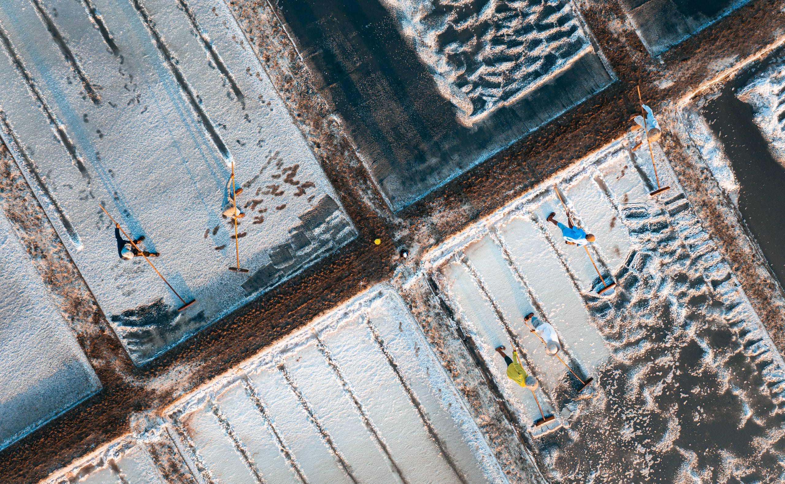 92- Nét Đẹp Lao Động Nghề Làm Muối – Nguyễn Đặng Việt Cường