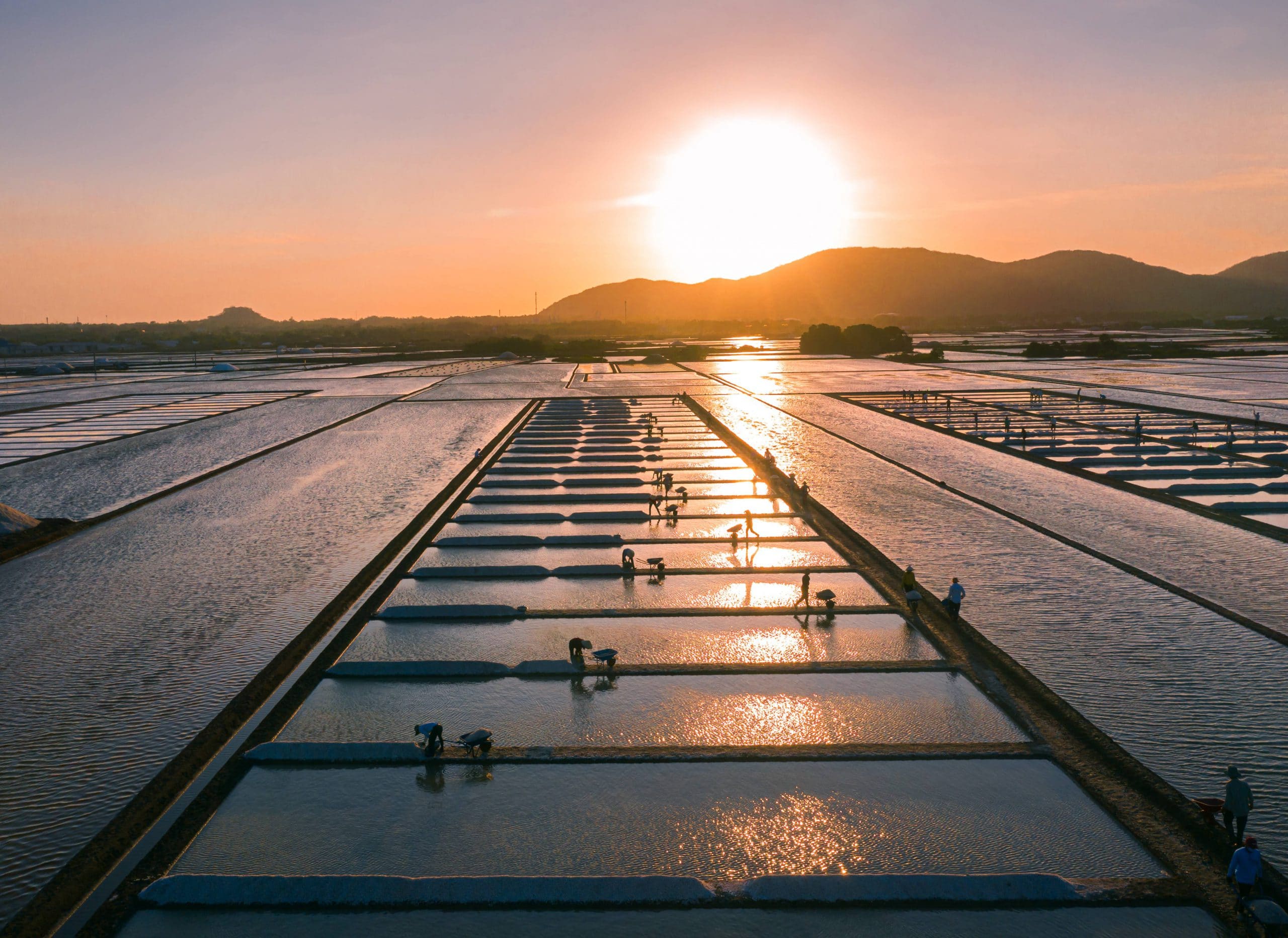 92- Nét Đẹp Lao Động Nghề Làm Muối – Nguyễn Đặng Việt Cường