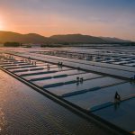 92- Nét Đẹp Lao Động Nghề Làm Muối – Nguyễn Đặng Việt Cường