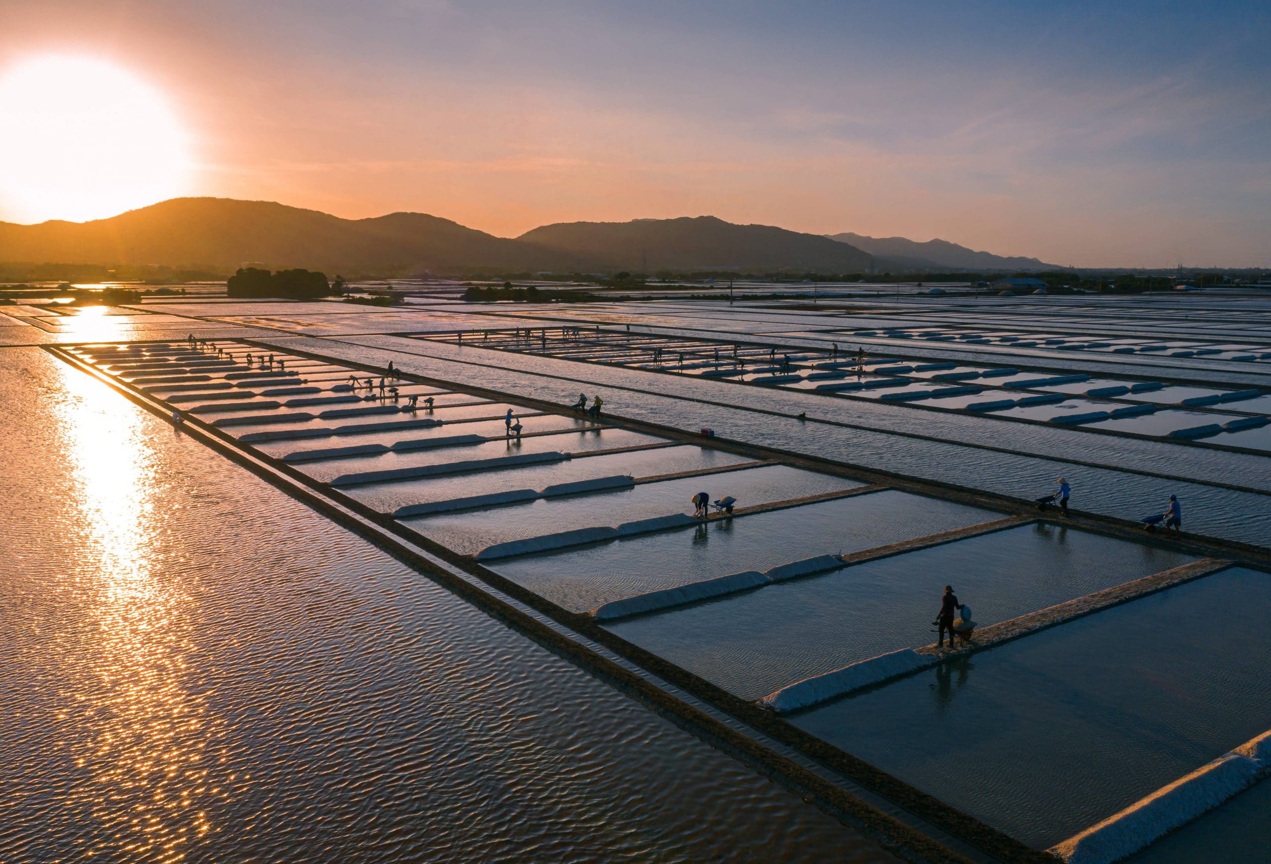 92- Nét Đẹp Lao Động Nghề Làm Muối – Nguyễn Đặng Việt Cường