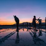 92- Nét Đẹp Lao Động Nghề Làm Muối – Nguyễn Đặng Việt Cường