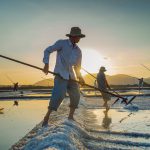 92- Nét Đẹp Lao Động Nghề Làm Muối – Nguyễn Đặng Việt Cường