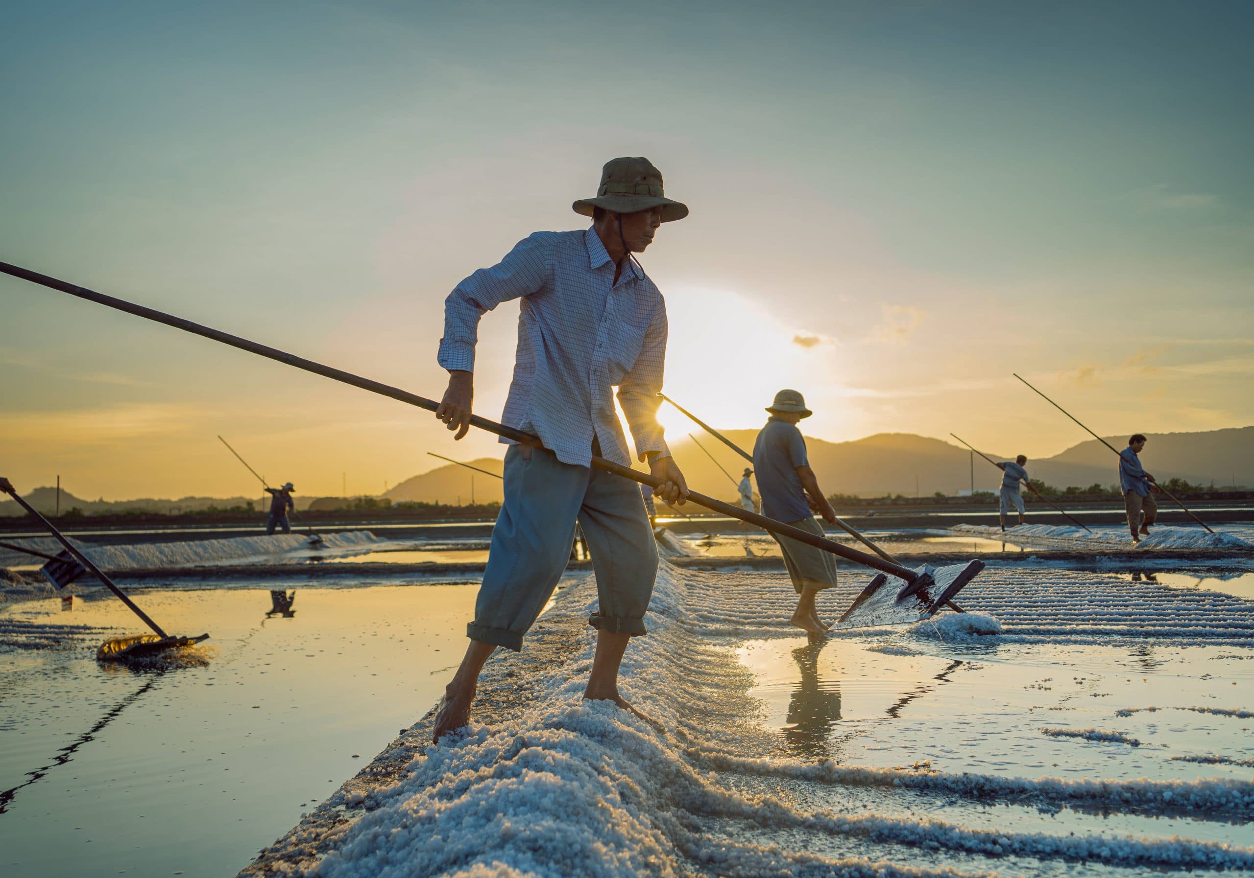 92- Nét Đẹp Lao Động Nghề Làm Muối – Nguyễn Đặng Việt Cường