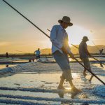 92- Nét Đẹp Lao Động Nghề Làm Muối – Nguyễn Đặng Việt Cường