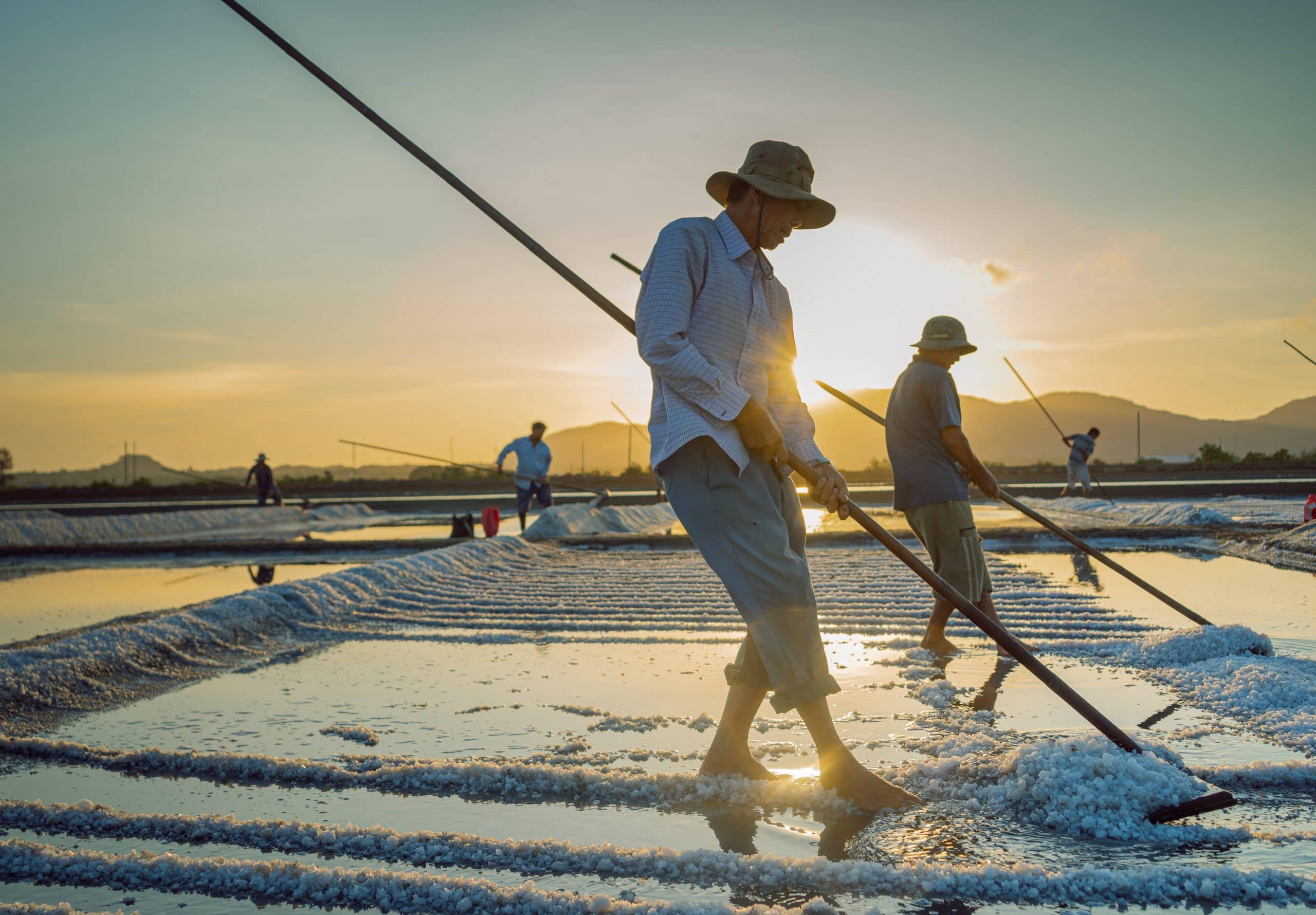 92- Nét Đẹp Lao Động Nghề Làm Muối – Nguyễn Đặng Việt Cường