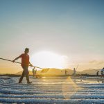 92- Nét Đẹp Lao Động Nghề Làm Muối – Nguyễn Đặng Việt Cường