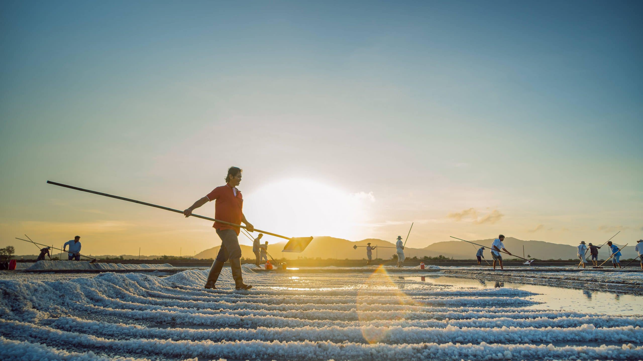 92- Nét Đẹp Lao Động Nghề Làm Muối – Nguyễn Đặng Việt Cường