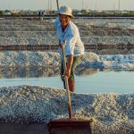 92- Nét Đẹp Lao Động Nghề Làm Muối – Nguyễn Đặng Việt Cường