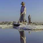 92- Nét Đẹp Lao Động Nghề Làm Muối – Nguyễn Đặng Việt Cường