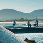 92- Nét Đẹp Lao Động Nghề Làm Muối – Nguyễn Đặng Việt Cường