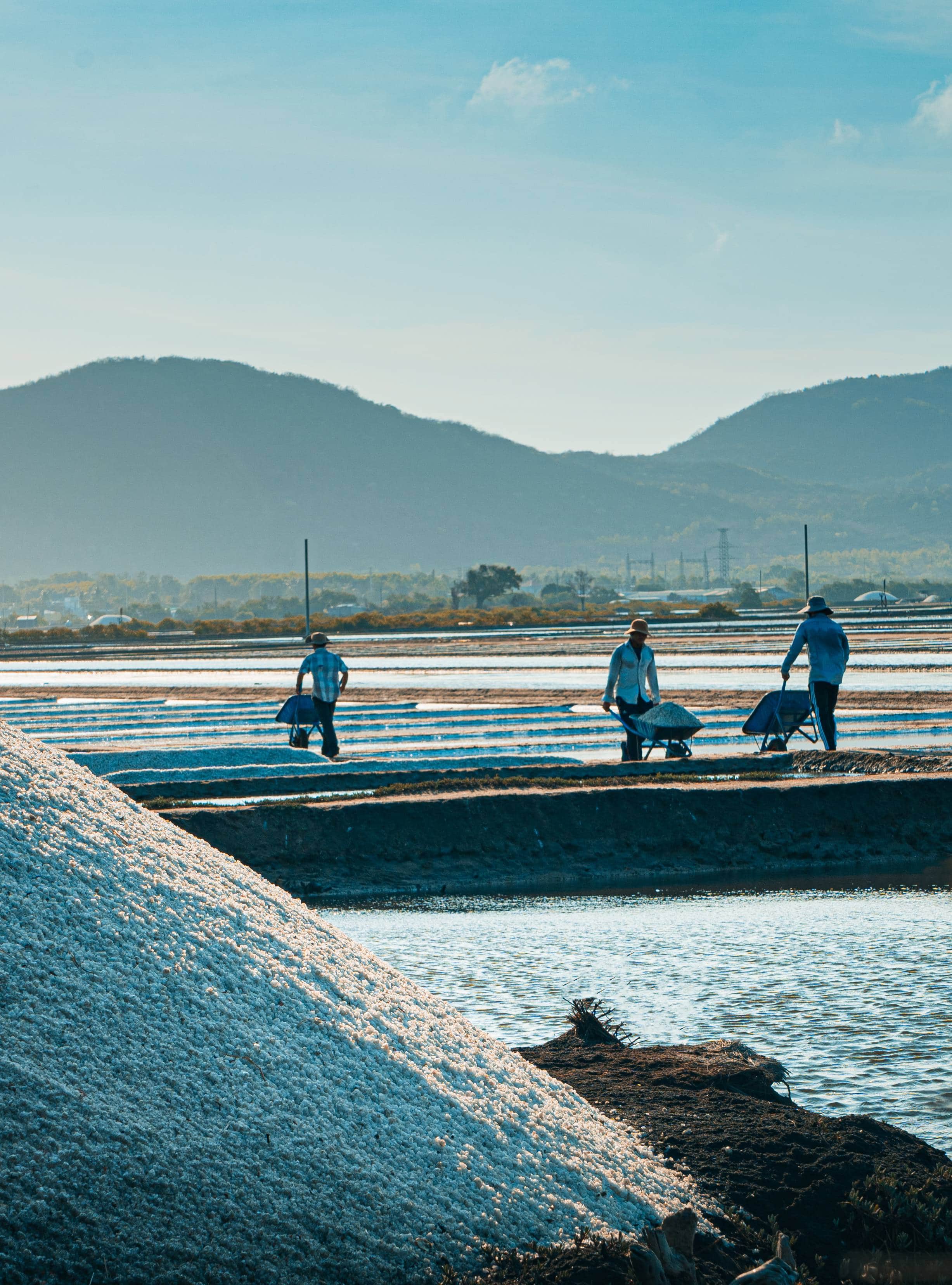 92- Nét Đẹp Lao Động Nghề Làm Muối – Nguyễn Đặng Việt Cường