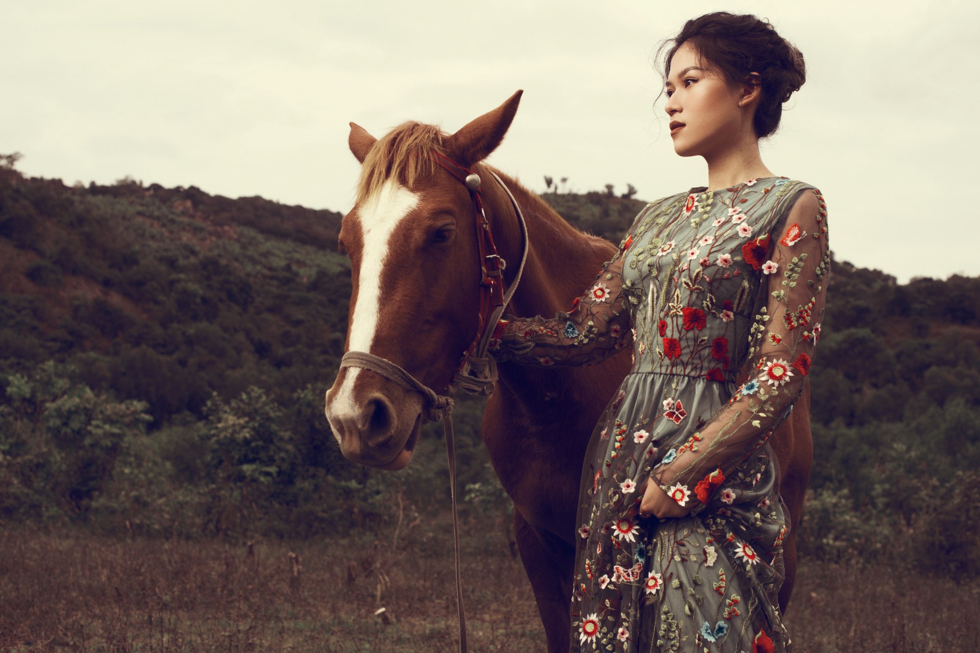 Miền du mục xa xôi