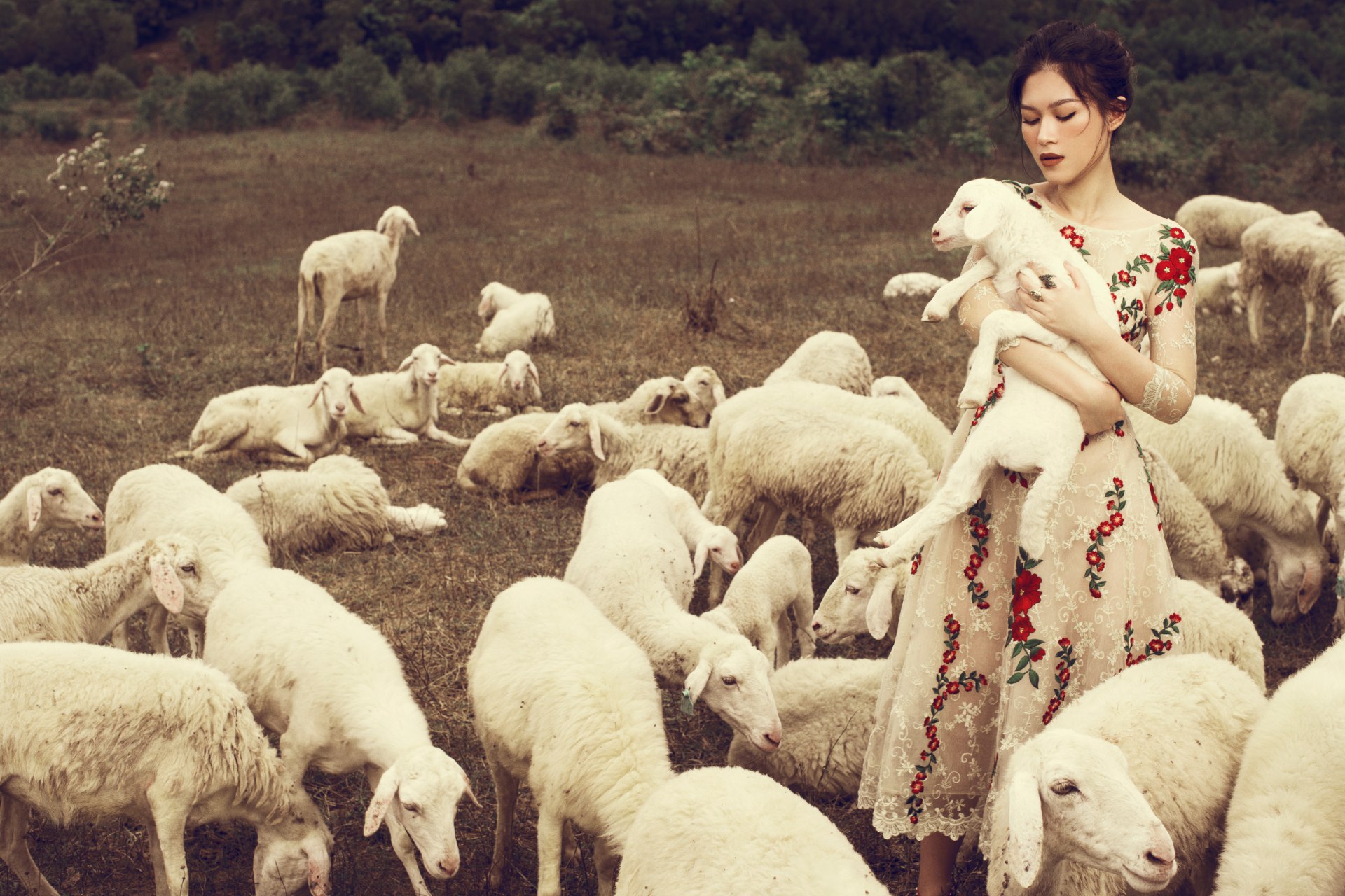 Miền du mục xa xôi