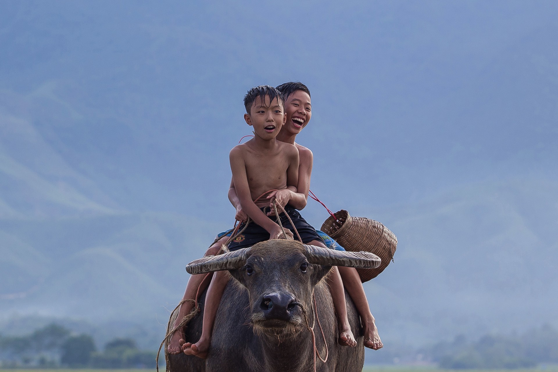 Tuổi thơ của những mục đồng