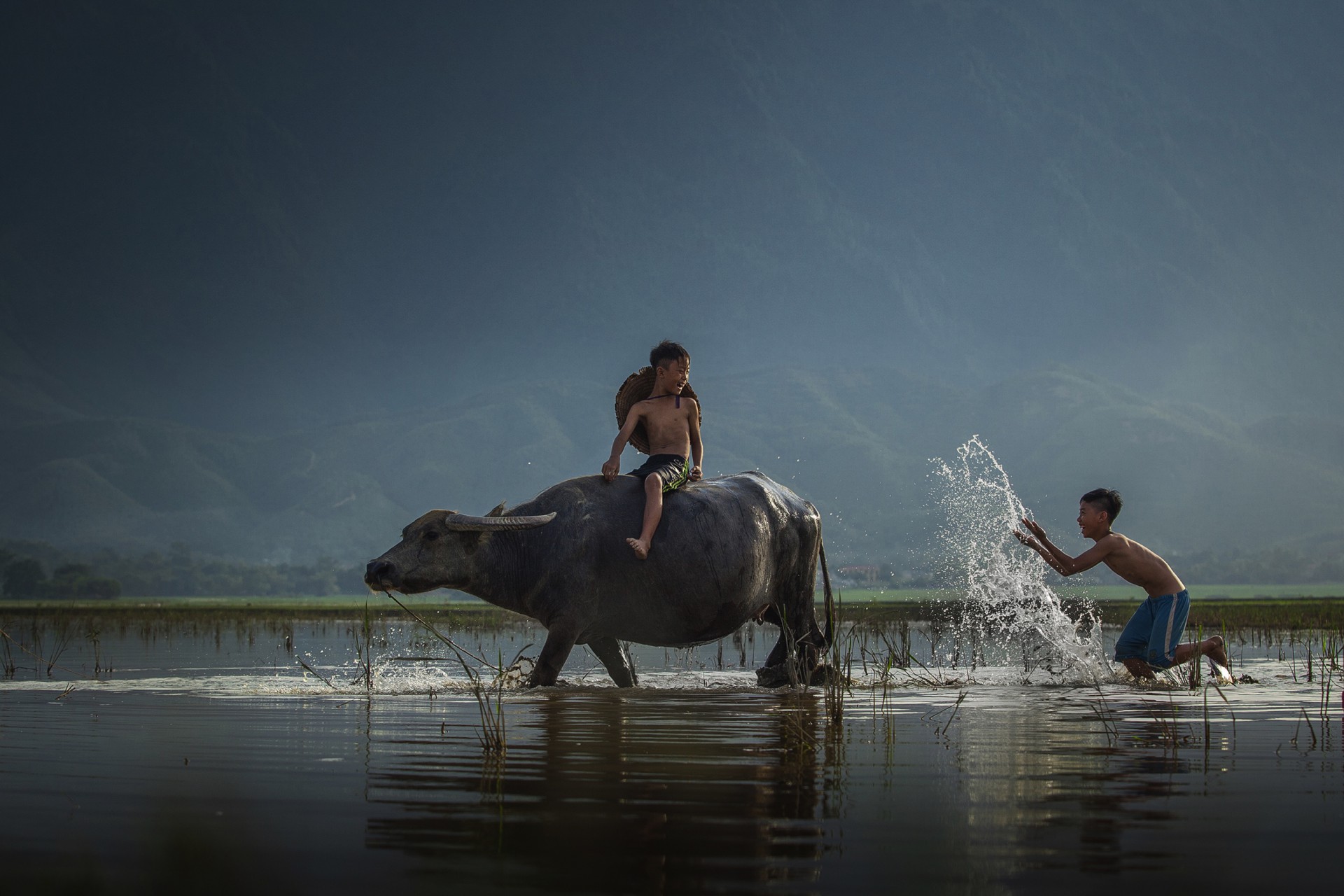 Phút thảnh thơi sau mùa vụ