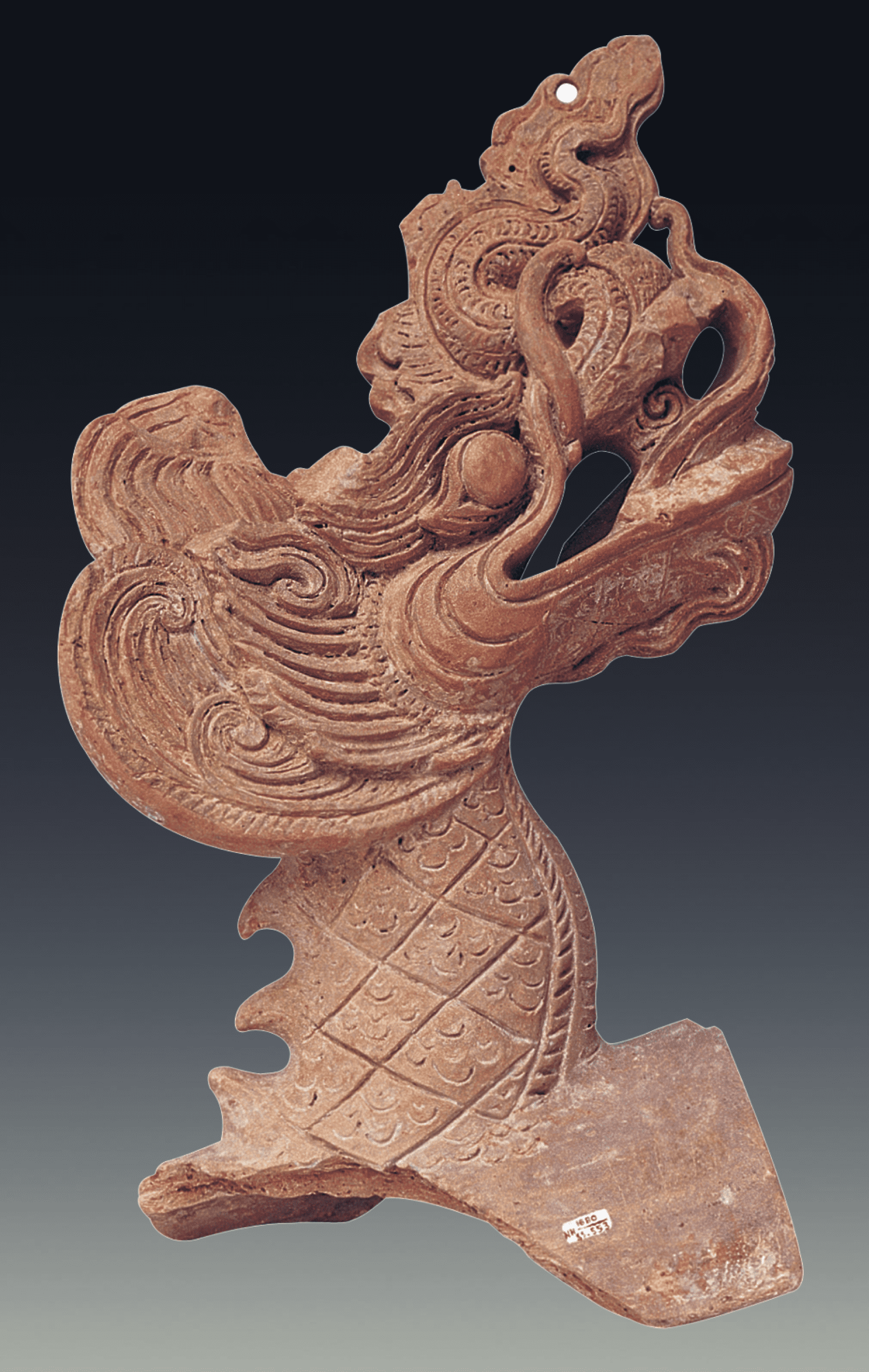 si-van-hinh-dau-rong-ly-tran-hinh-anh-bieu-tuong-viet-nam