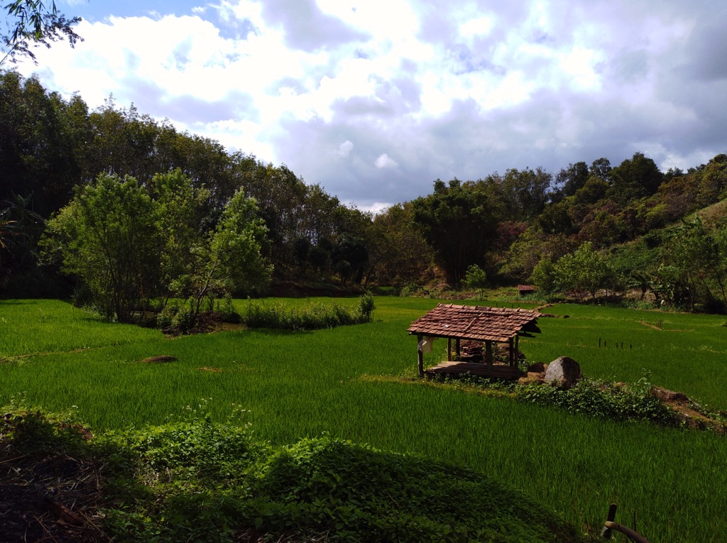 quang-canh-noi-nhuom-vai-bang-phuong-phap-nhuom-bun-buon-b-ling-xa-ea-kpam-huyen-cu-m-gar