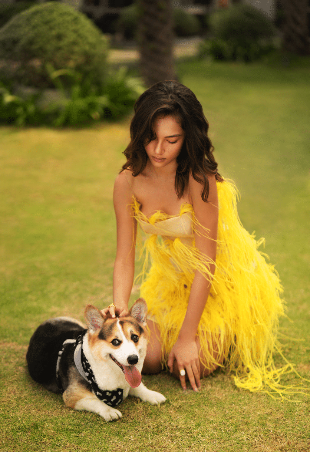 Tái sinh rực rỡ