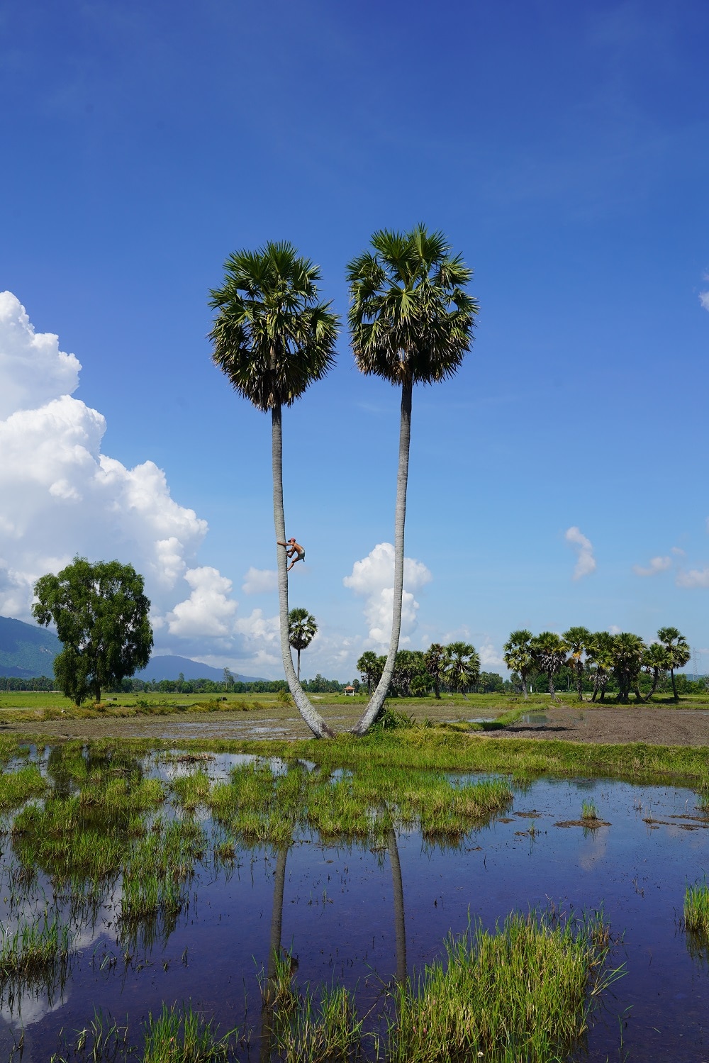 An Giang – Đất và người