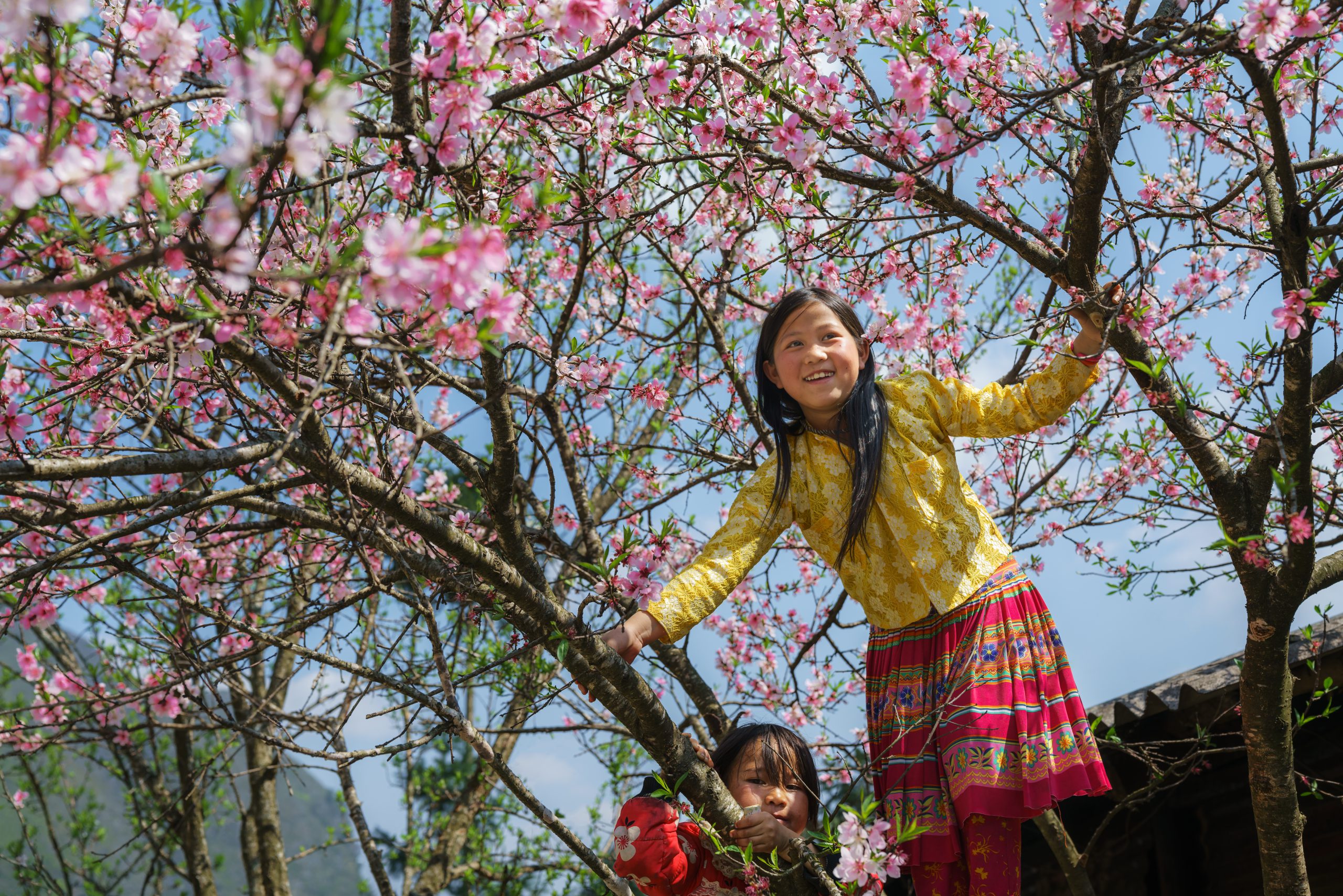 Spring’s essence  in the mountains