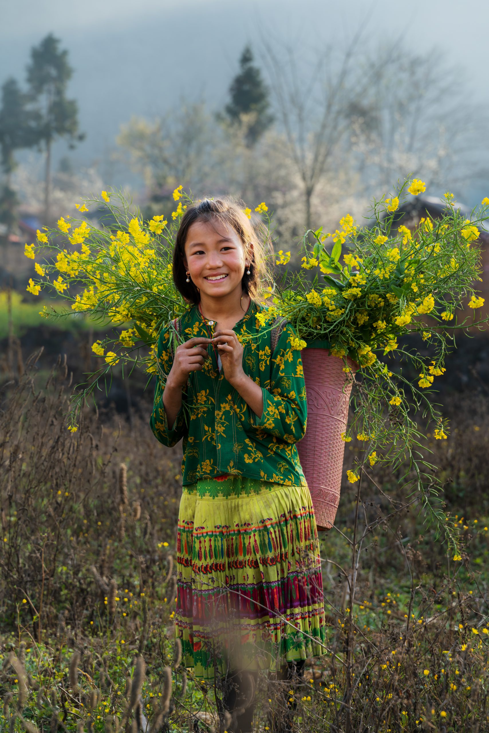 Spring’s essence  in the mountains