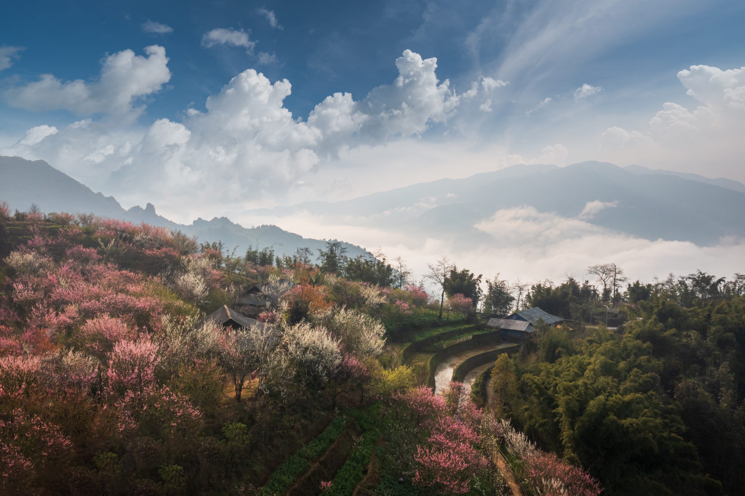 Spring’s essence  in the mountains