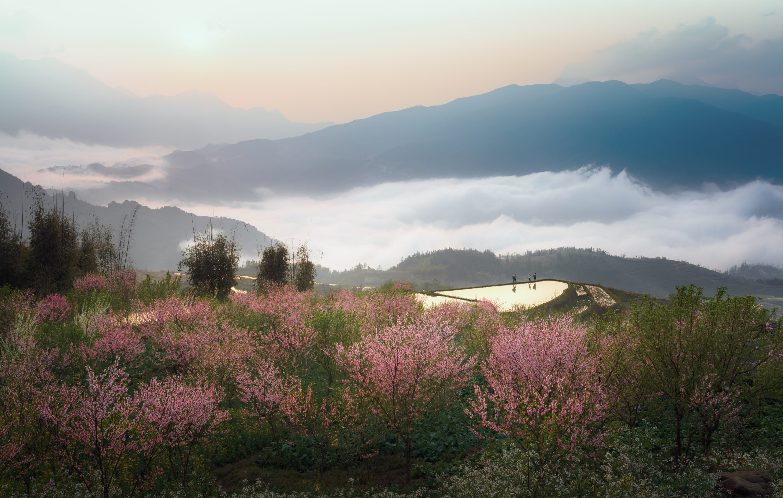 Spring’s essence  in the mountains