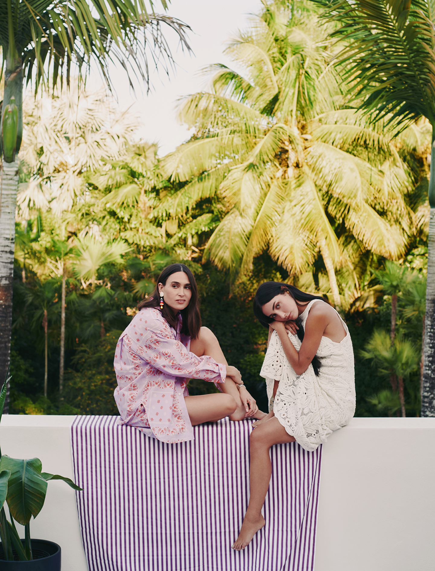 Sắc tím đầu hạ