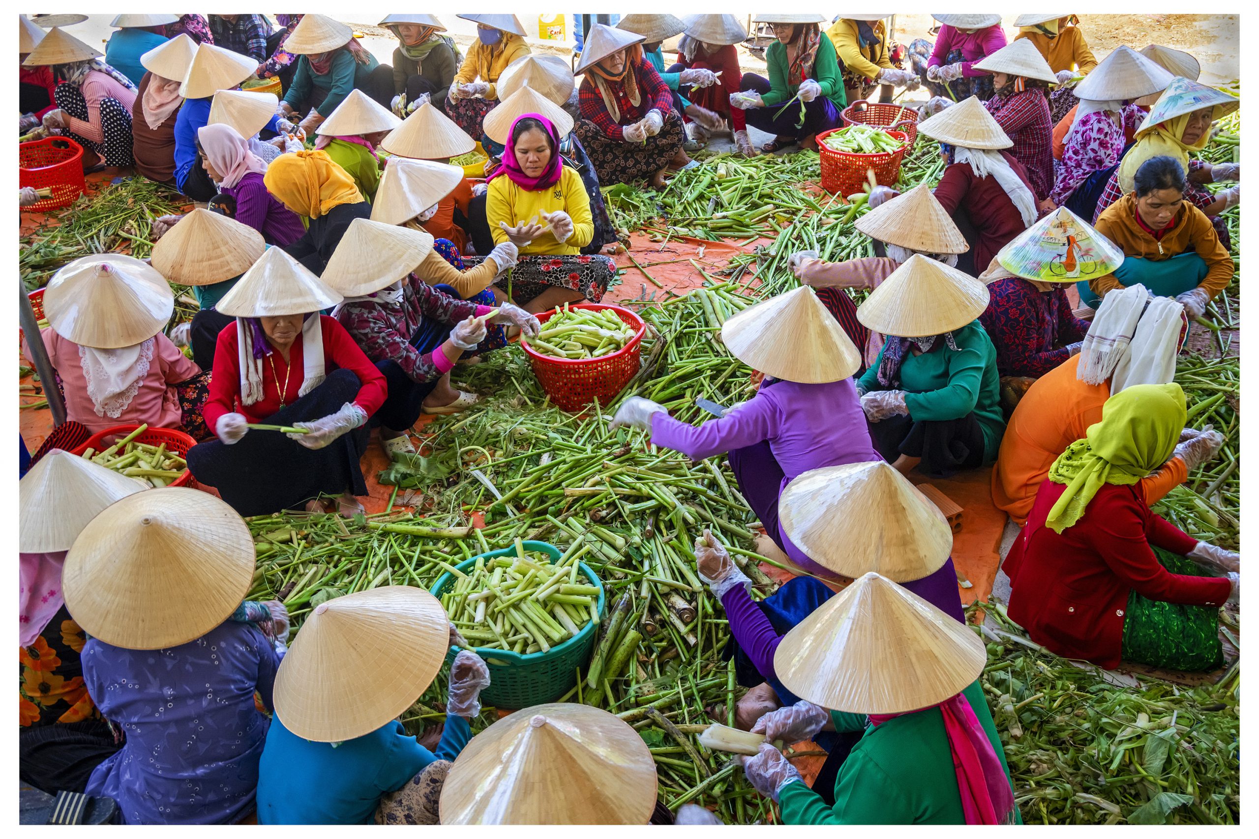 14. Lễ Ndam Padhi Chăm Bani Ninh Thuận – Ngô Quang Phúc