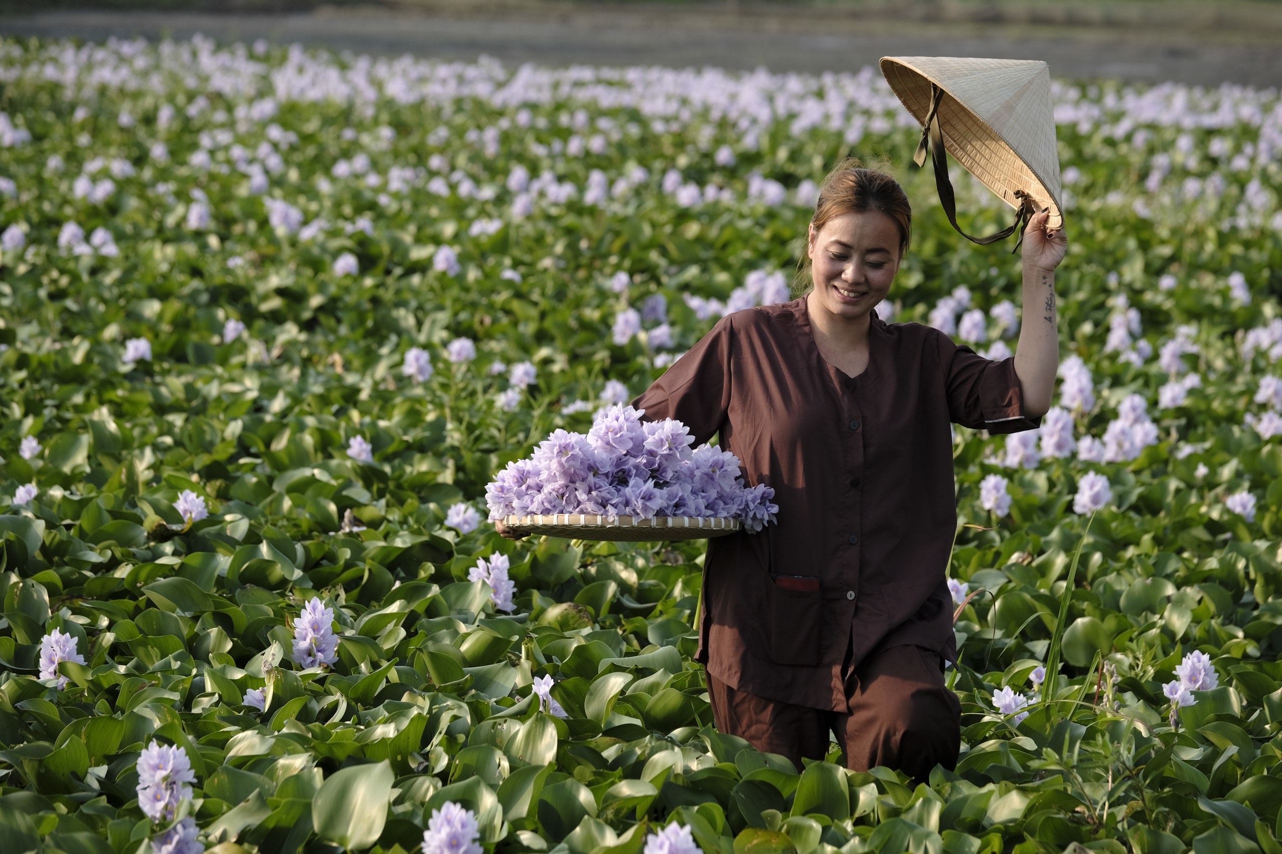 15. Mùa Hoa lục bình – Trần Quốc Tú