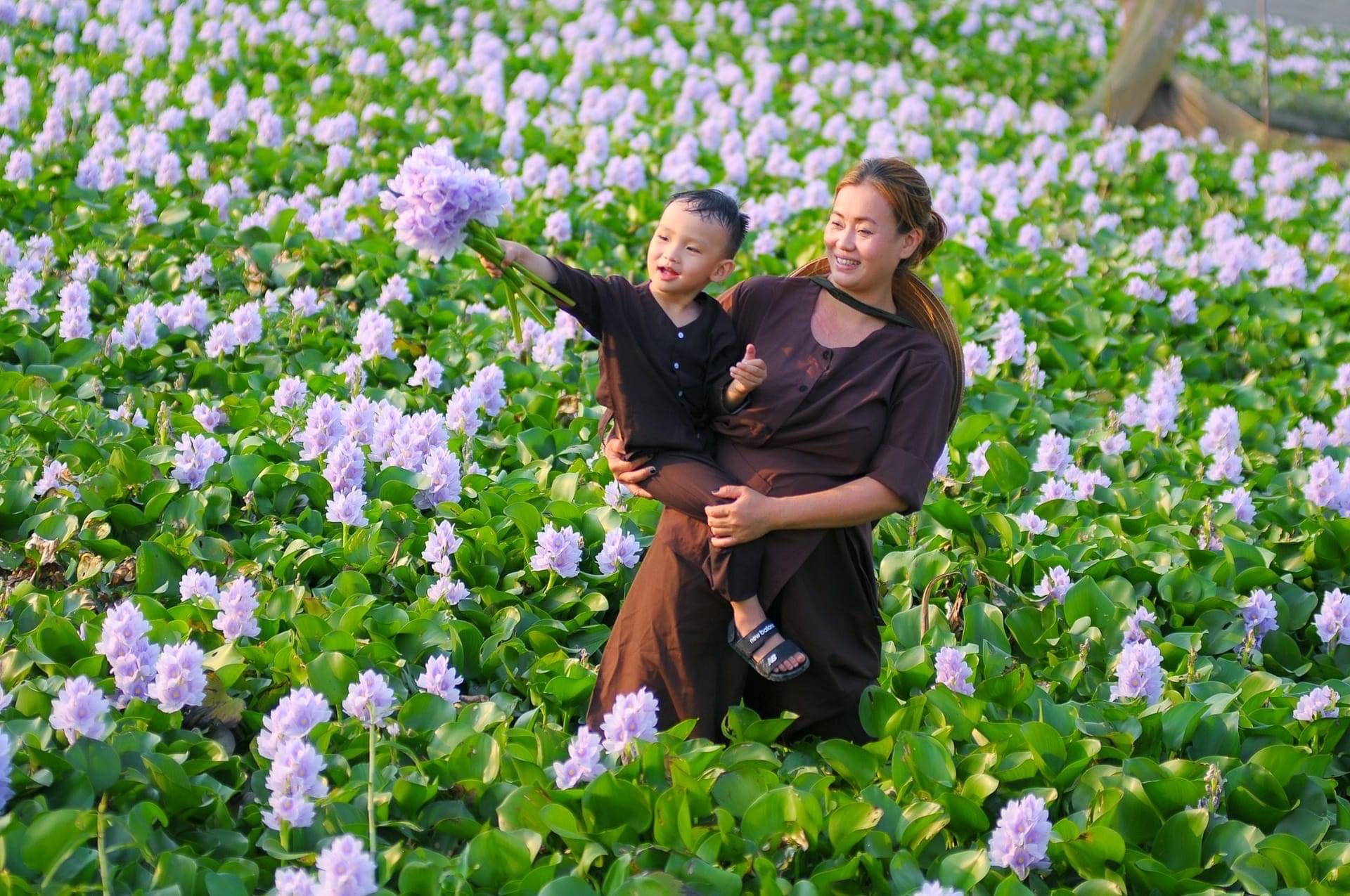 15. Mùa Hoa lục bình – Trần Quốc Tú