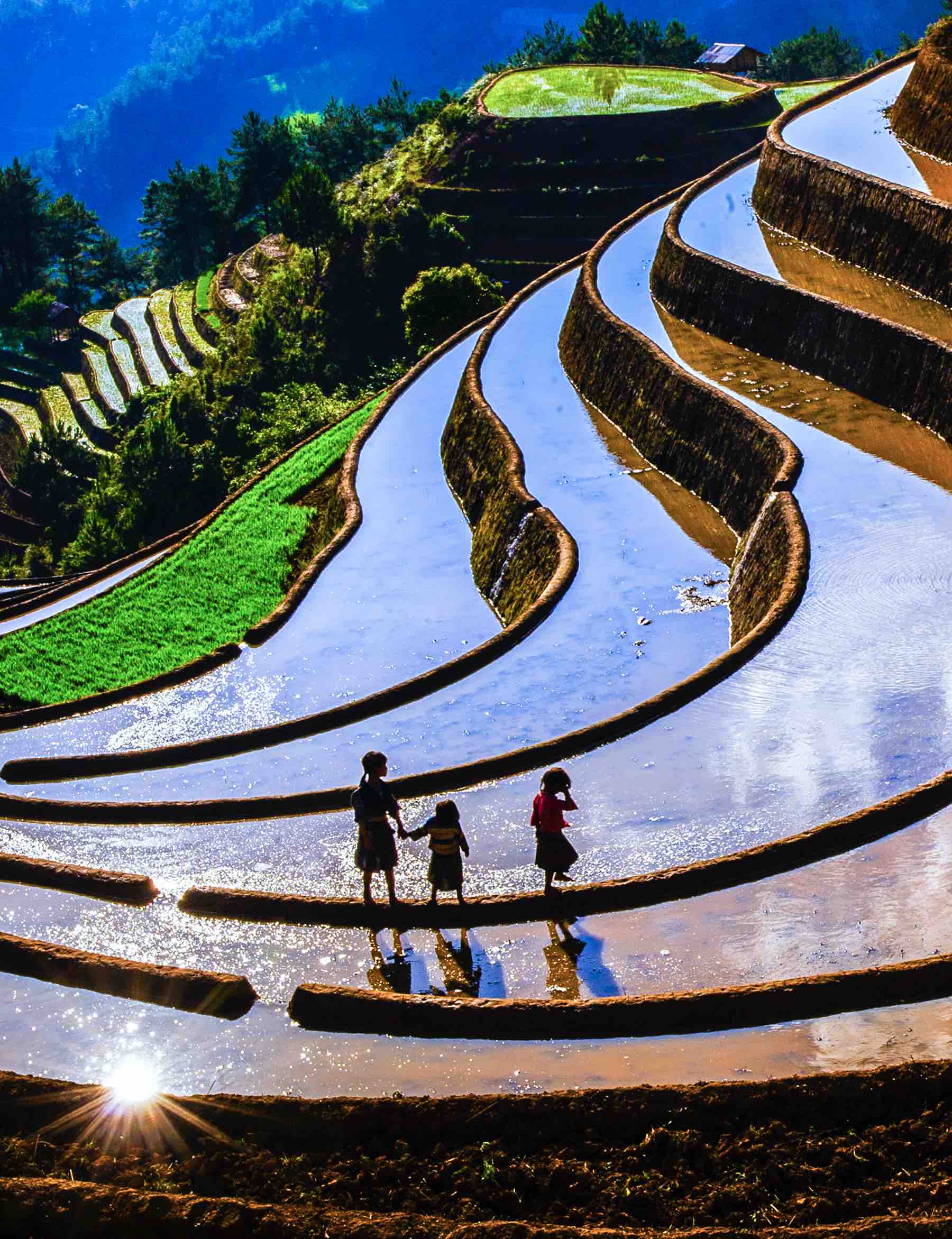 91.Trẻ em vung cao  – Nguyễn Xuân Tình – Nghĩa Lộ – Yên Bái