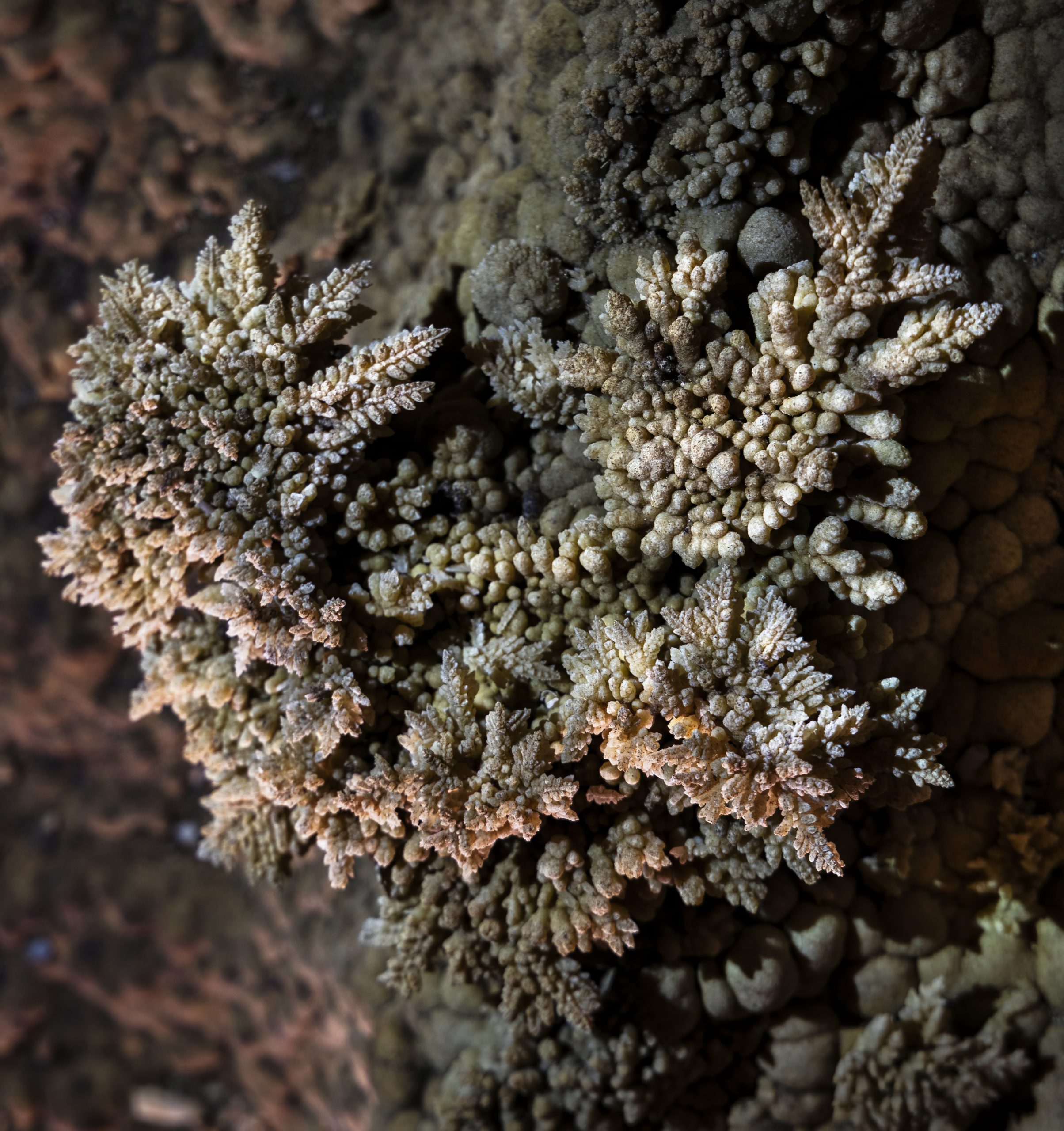 90.Khám phá hệ thống hang Hung Thòng – Nguyễn Hải