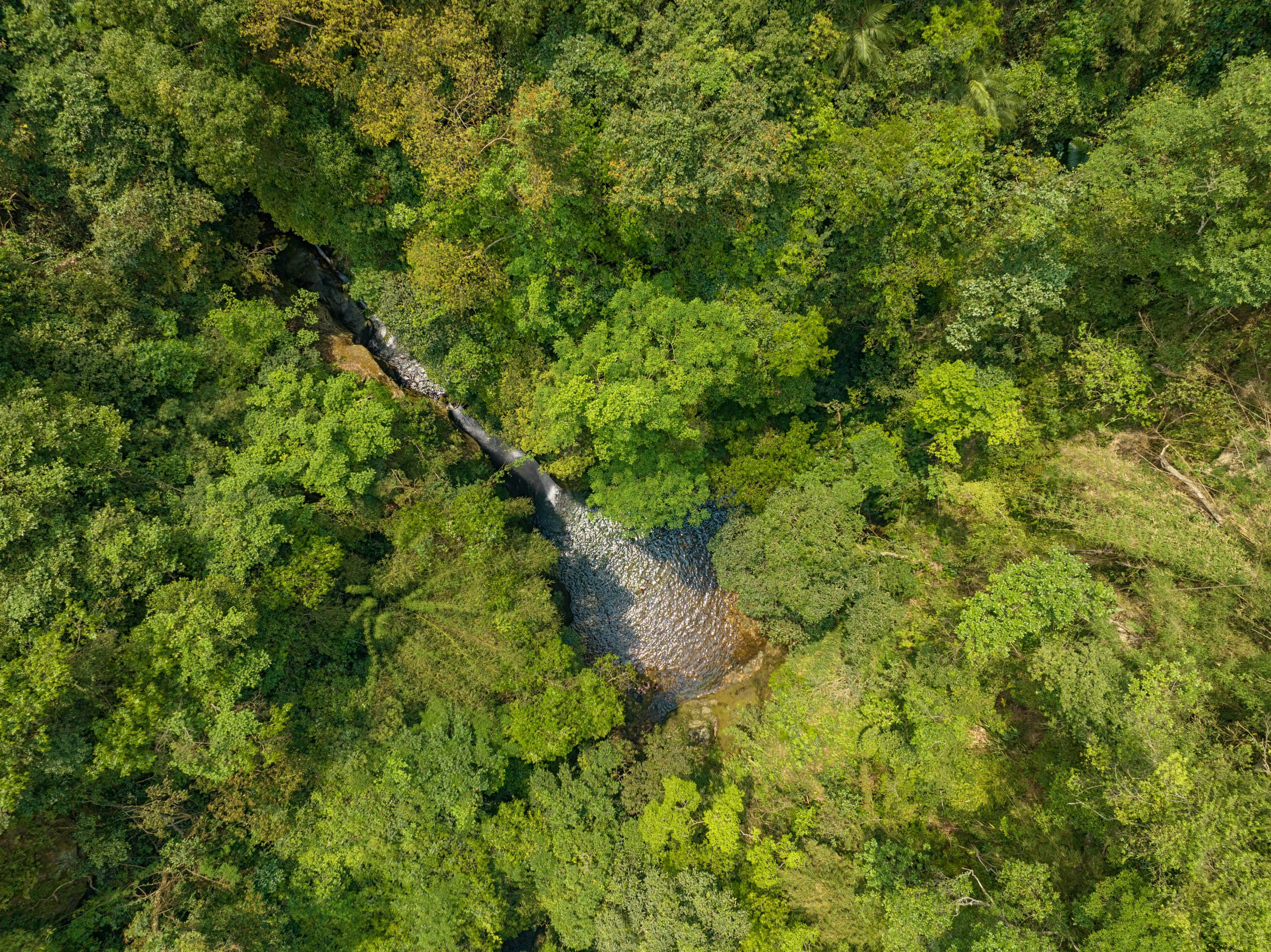 Đi tìm thác suối