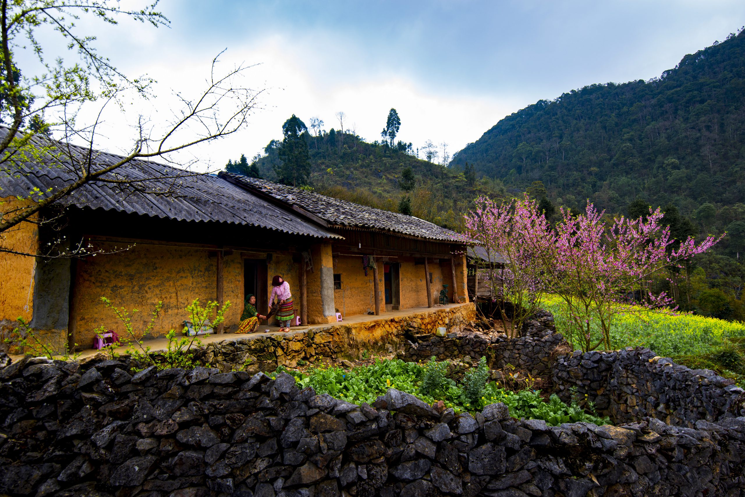 71.Hà Giang nơi đá nở Hoa – Nguyễn Anh Tuấn