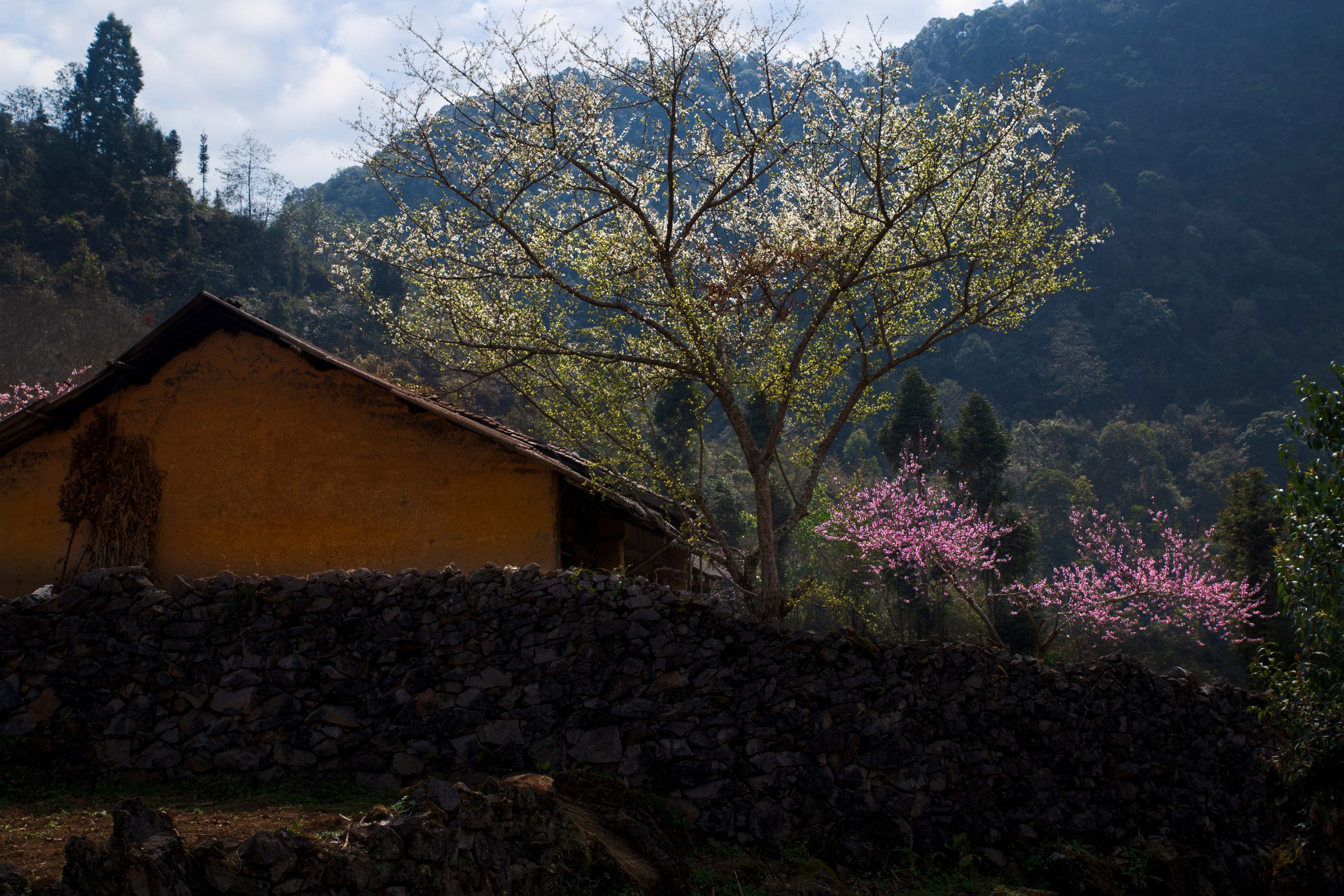 71.Hà Giang nơi đá nở Hoa – Nguyễn Anh Tuấn