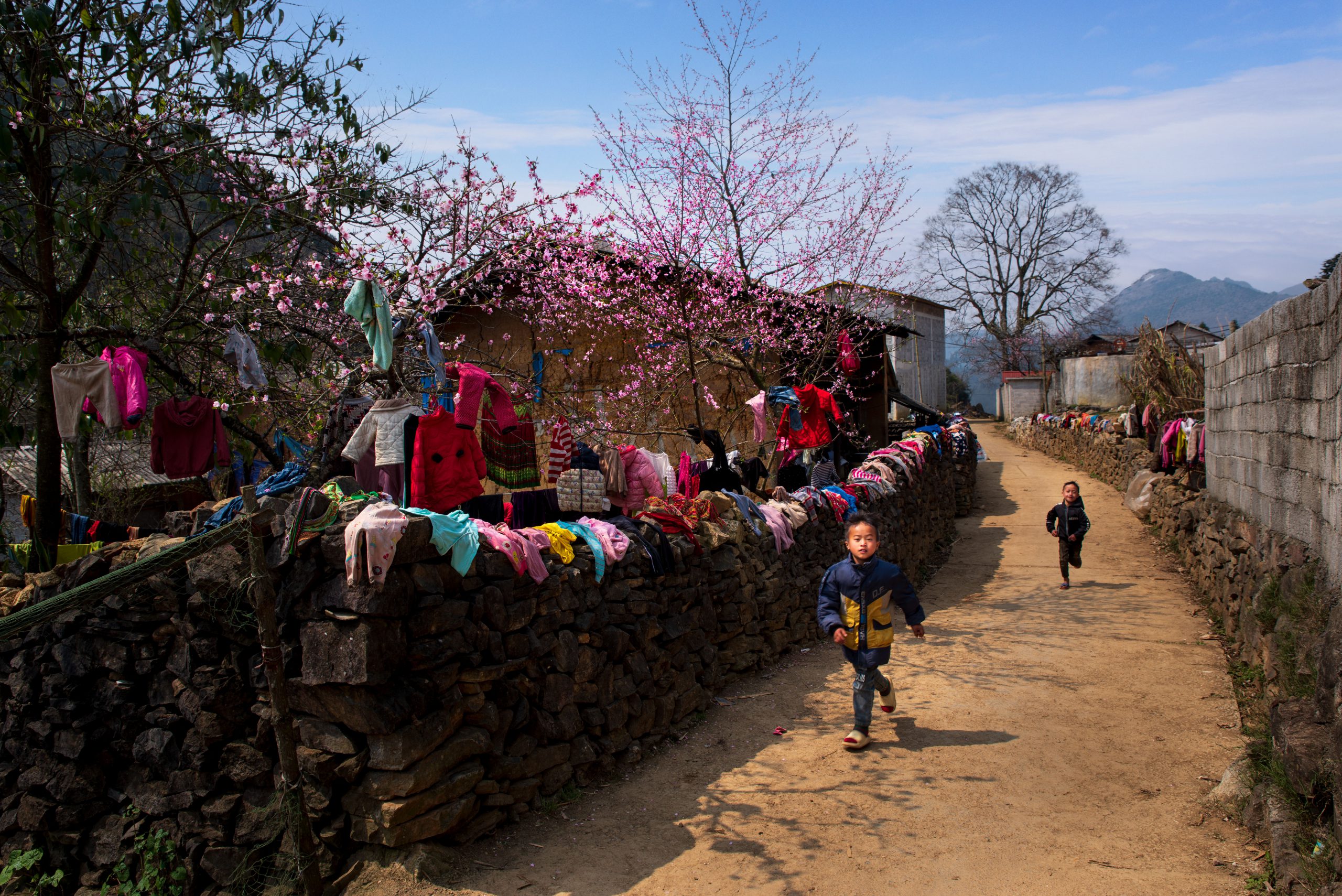 71.Hà Giang nơi đá nở Hoa – Nguyễn Anh Tuấn