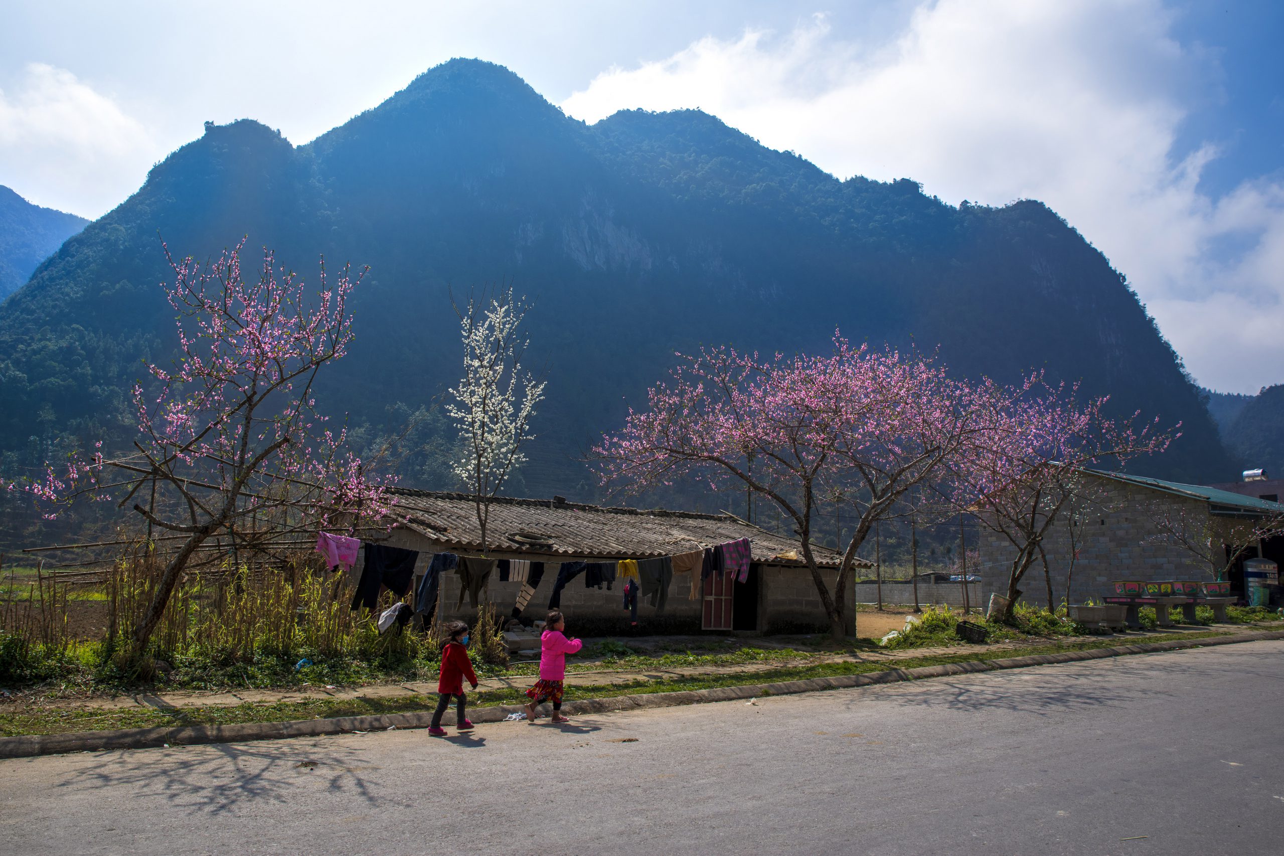 71.Hà Giang nơi đá nở Hoa – Nguyễn Anh Tuấn