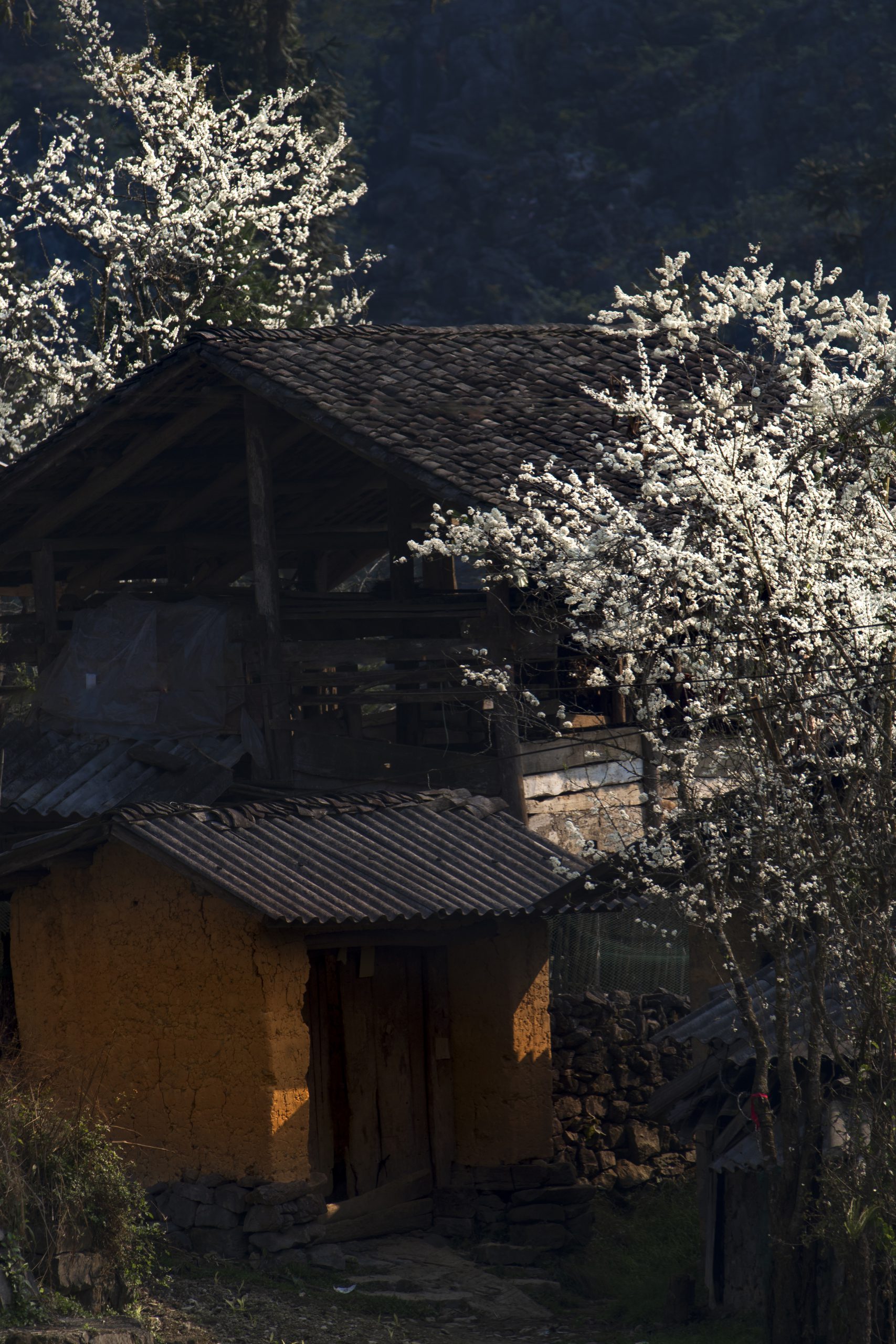 71.Hà Giang nơi đá nở Hoa – Nguyễn Anh Tuấn