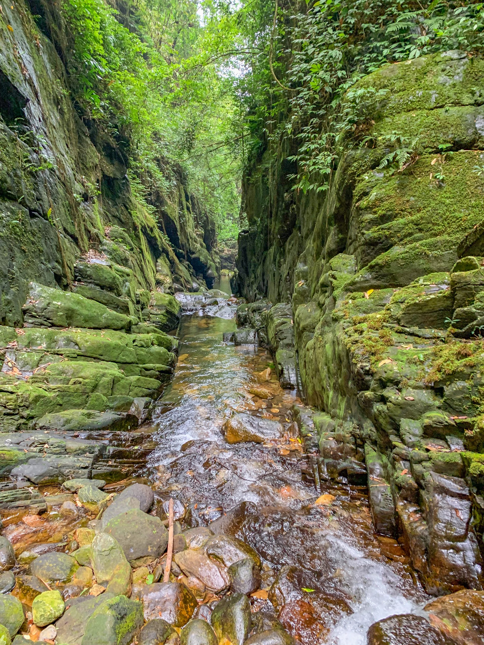 Đi tìm thác suối