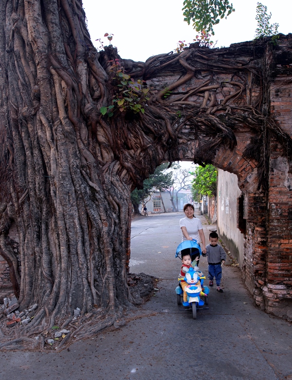 135. Chiều quê – Bùi Quốc Sỹ