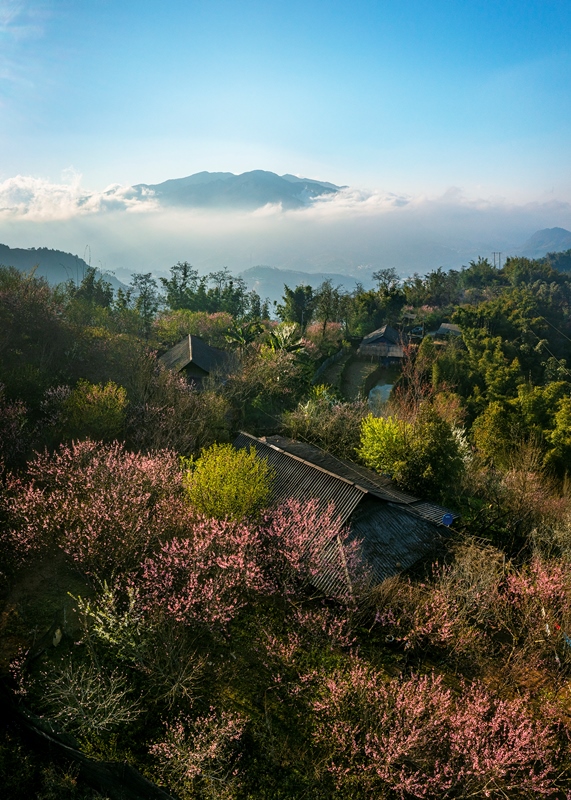 174. Sâu Chua – Lê Việt Khánh