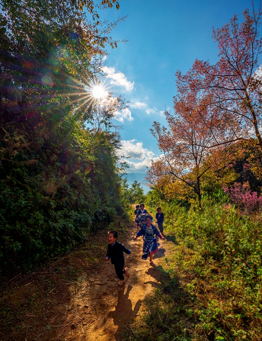 280. Xuân về trên bản – Vũ Lâm