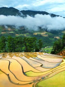 283. Mù Cang Chải mùa mây – Vũ Mạnh Cường