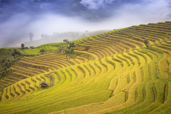109.Sắc màu Mù Cang Chải – Kiều Nguyên Hiền Triết